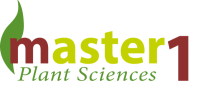 Logo Master 1