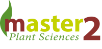 Logo Master 2